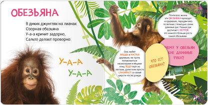 Книжки с окошками. Qu'est-ce que tu veux?