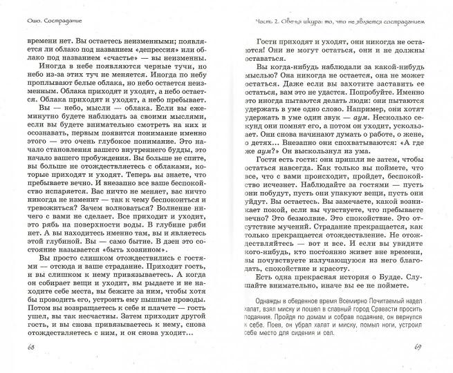 Сострадание. Наивысший расцвет любви