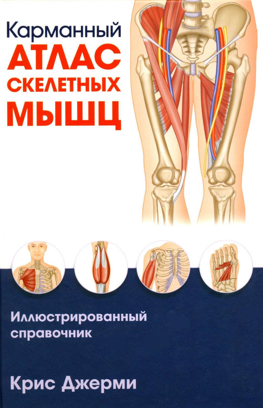 Карманный атлас скелетных мышц: Иллюстрированный справочник