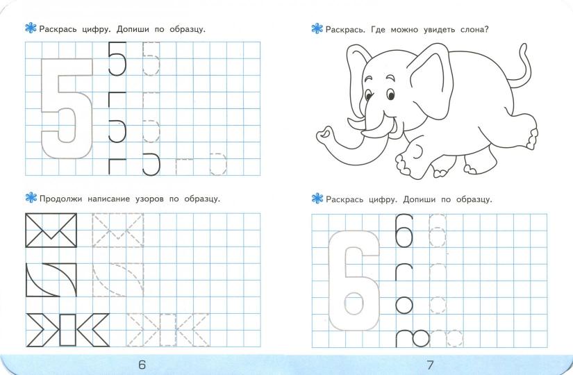 Дошкольник. Прописи. В клетку. 5+. Ч.1