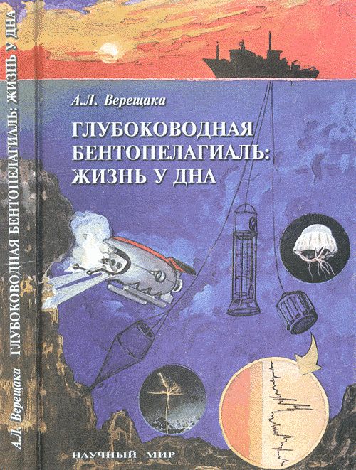 Глубоководная бентопелагиаль: жизнь у дна. (Придонный слой Мирового океана)