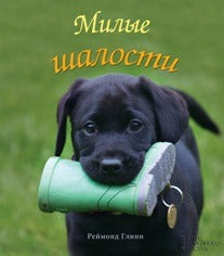 Милые шалости