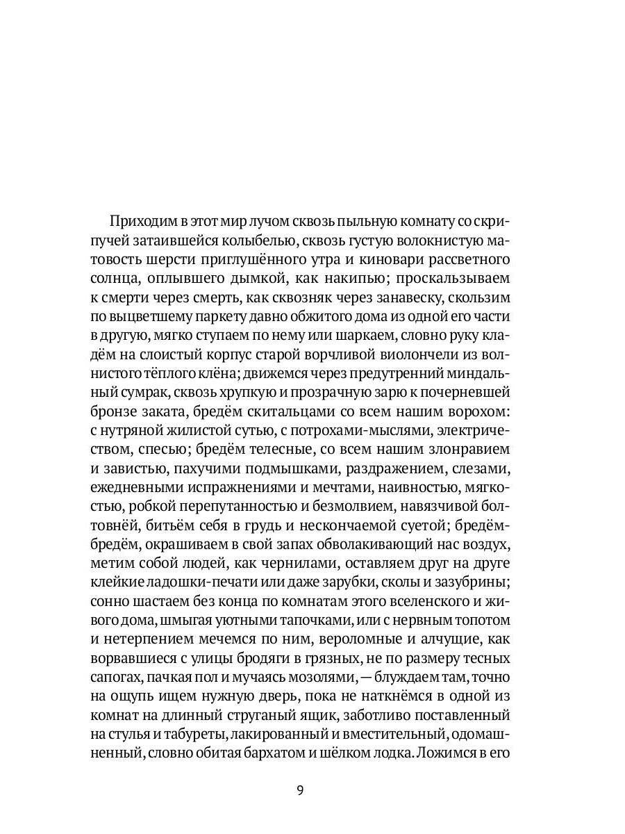 Свет во Тьме: роман