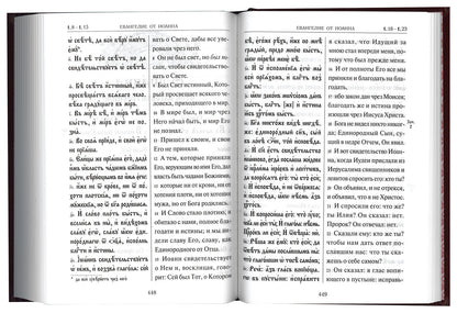 La Saint-Évangélie du Japon russe a des activités parallèles en Russie