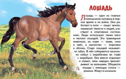 Cartes. Домашние животные ; Cartes. Maison de famille