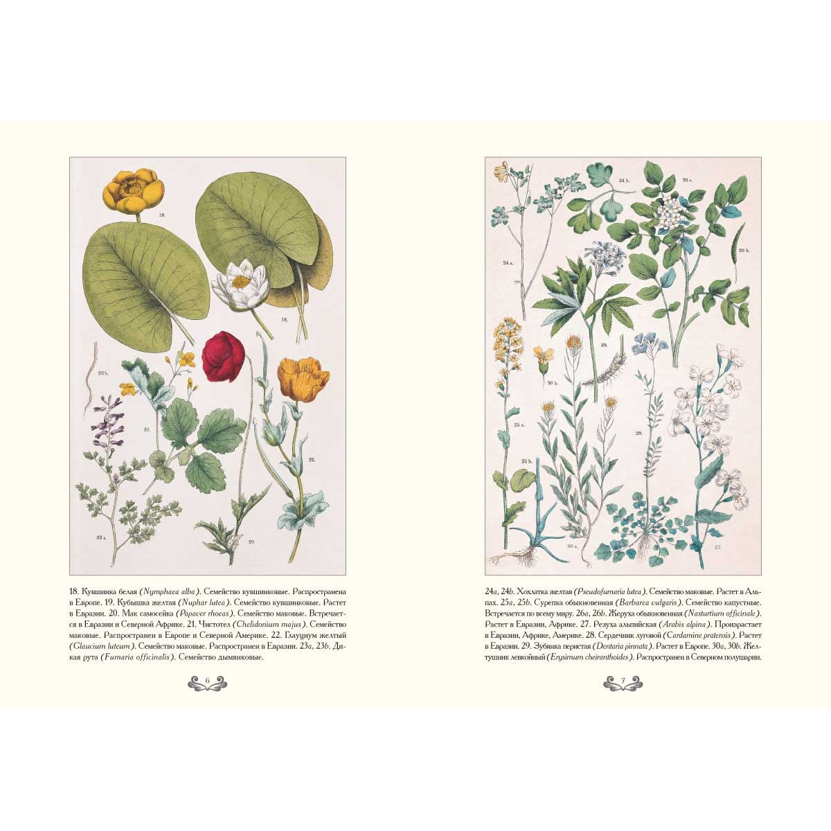 Ботанический атлас. Карл фон Гофман