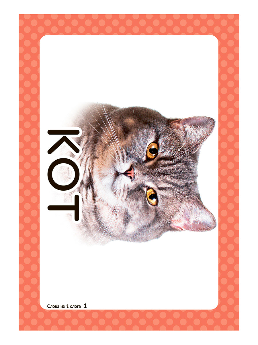 Логопедические карточки.Запускаем речь.Слова из 1 слога. (34 карточки). / Османова, Позднякова.