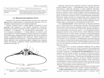 Патологическая физиология нервной системы: Учебное пособие