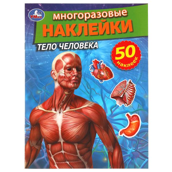 Тело человека. Активити с многоразовыми наклейками. 210х285мм. 8 стр. + 50 наклеек. Умка в кор.50шт