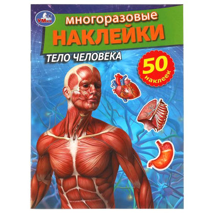 Тело человека. Активити с многоразовыми наклейками. 210х285мм. 8 стр. + 50 наклеек. Умка в кор.50шт
