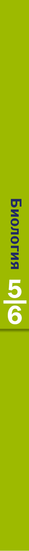 Biologie. 5-6 classe. Учебник.