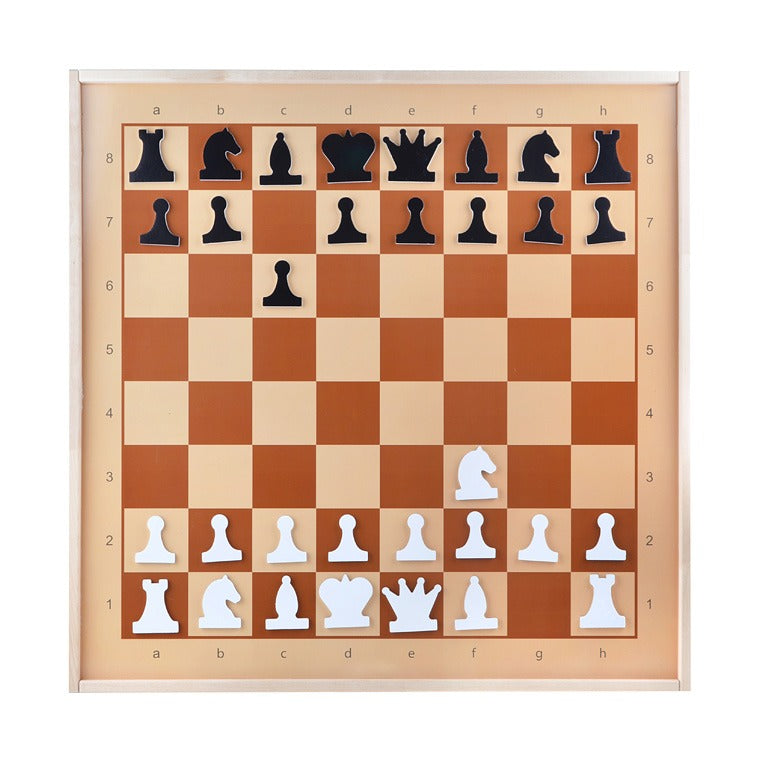 Jeu de démonstration magnétique de Shammaty