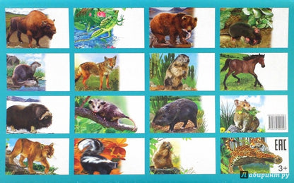Cartes. Животные Северной Америки ; Cartes. Животные Северной Америки