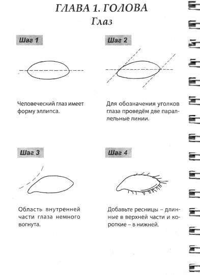 СКЕТЧБУК А5 УРОКИ РИСОВАНИЯ ПО ШАГАМ. АНАТОМИЯ ЧЕЛОВЕКА