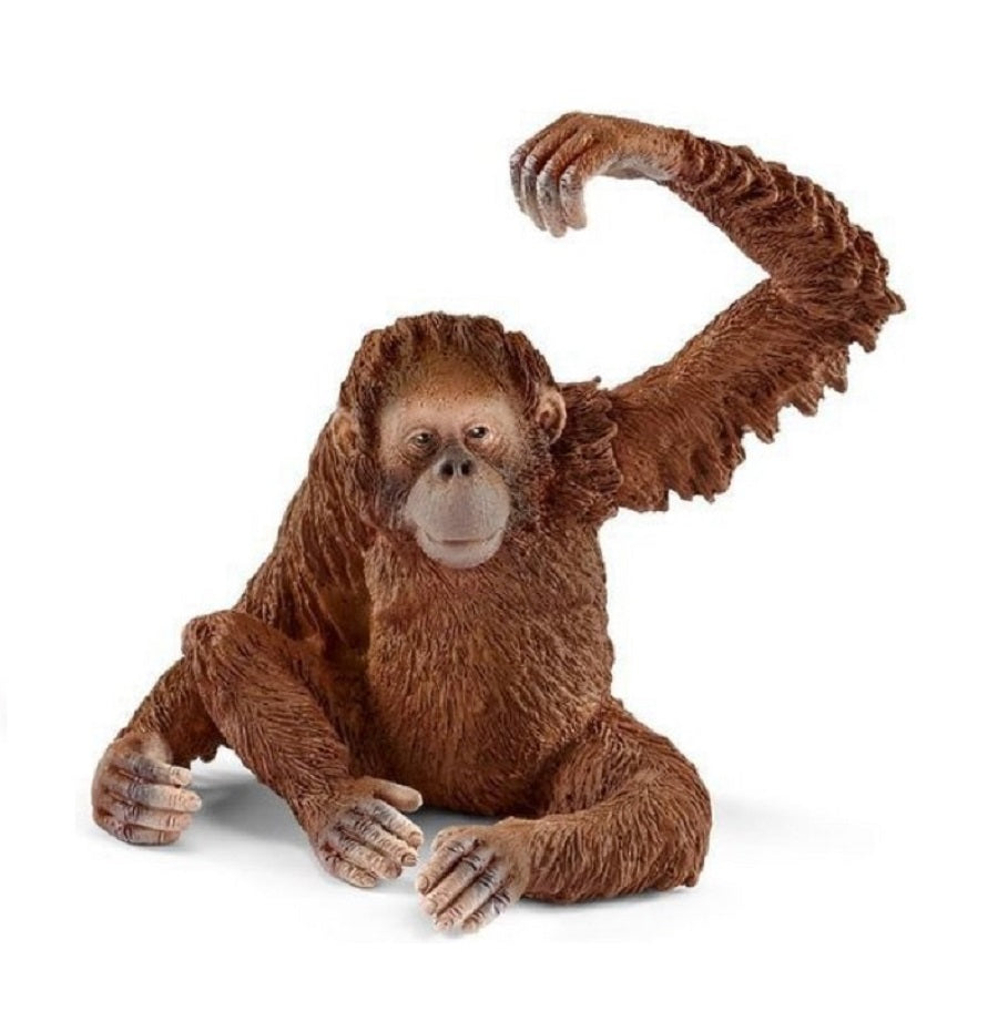Schleich. Фигурка "Орангутан, самка" арт.14775