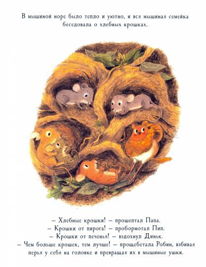 Робин : [сказка] / Д. Оджари и М. Plis ; par. с англ. ; IL. Б. M. Merci. —M. : Нигма, 2021. — 28 с. : IL.