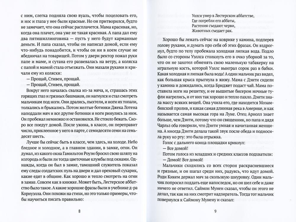 Портрет художника в юности: роман