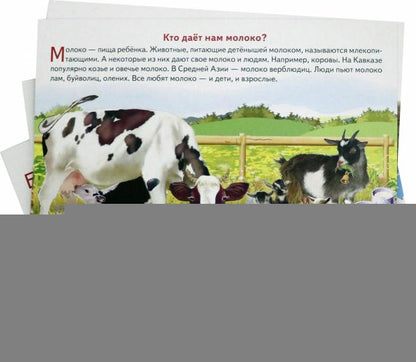 Карточки (европодвес). Как получается молоко; Карточки (европодвес). Как получается молоко