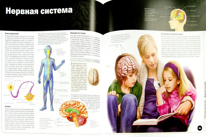 Тело человека. Энциклопедия. Эргардт Елена