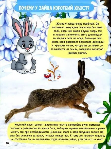 ЗАЧЕМ КОТАМ УСЫ? мат.ламин.обл, выбор.лак, мелов.бум. 215х290