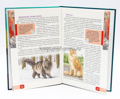 ЭНЦИКЛОПЕДИЯ. В МИРЕ ЗНАНИЙ. ВСЁ О КОШКАХ