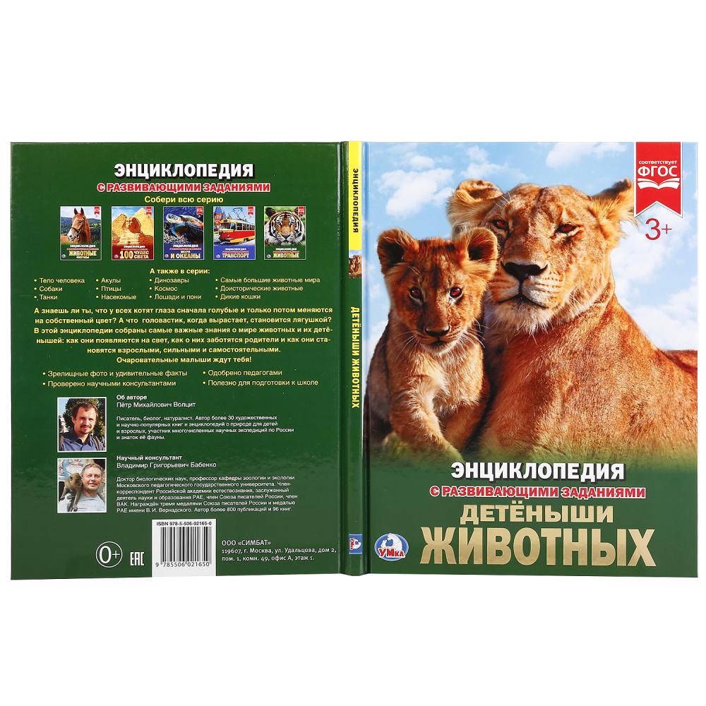 Детеныши животных. (Энциклопедия А4 с развивающими заданиями). 197х255мм. 48 стр. Умка в кор.15шт