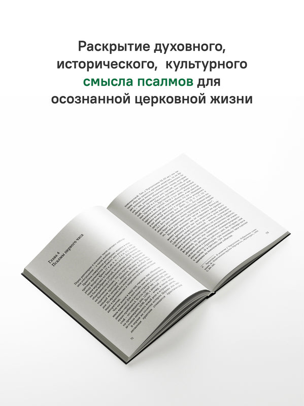 Щит Давида. Толкование псалмов, используемых в православном богослужении