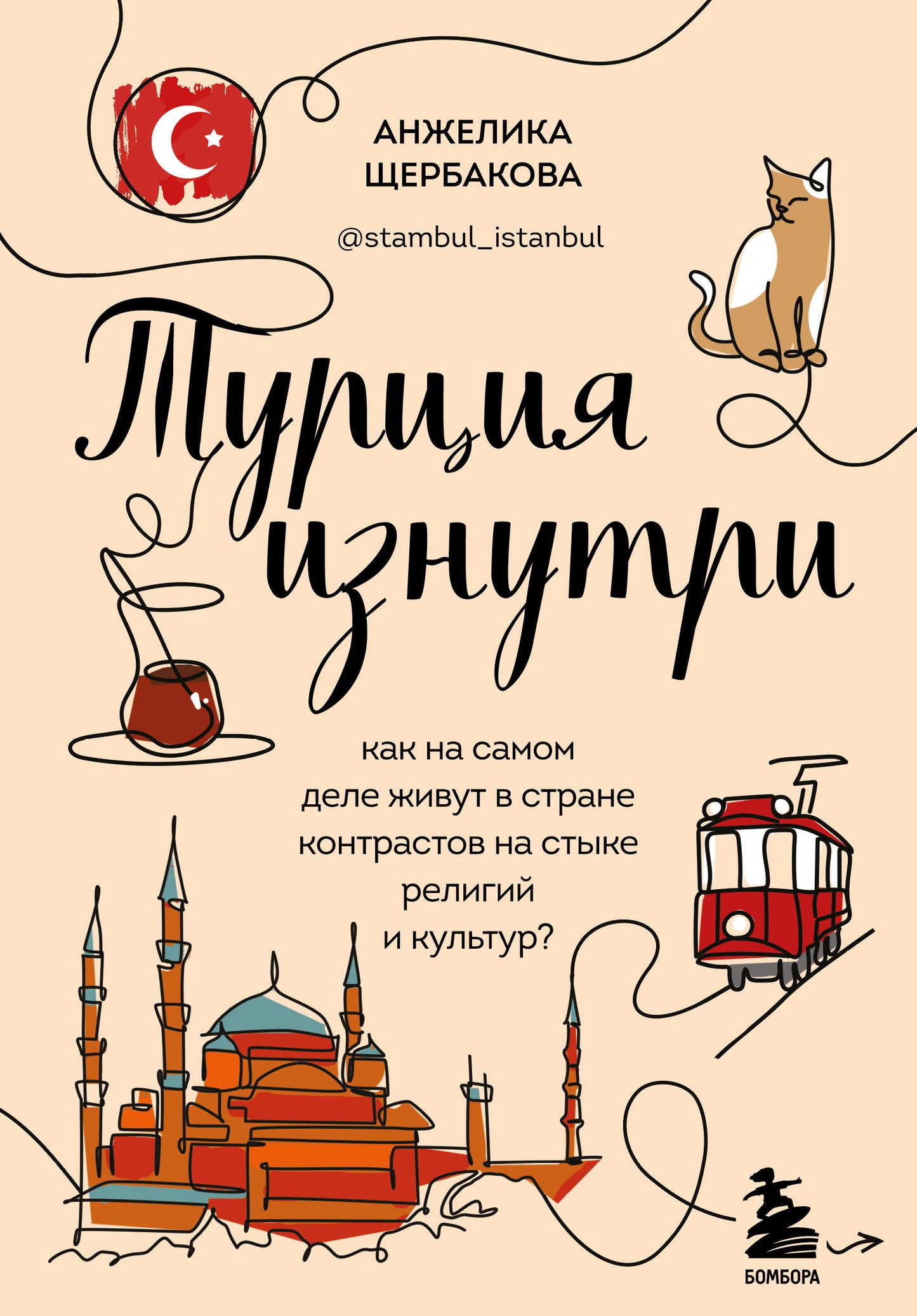 Турция изнутри. Que pensez-vous de votre vie dans les contrastes entre la religion et la culture ? (дополненное издание)