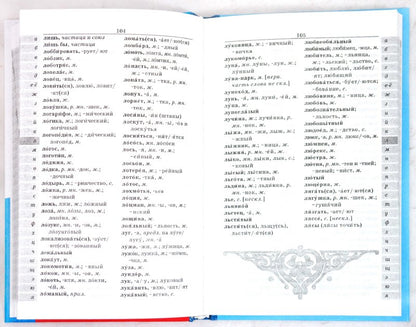 Школьный орфографический словарь рус. языка