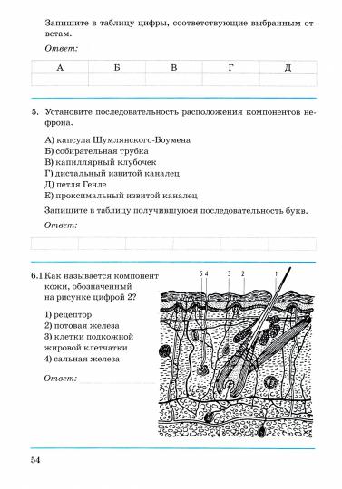 Biologie. Человек. 8кл [Контрл.-провер. robots]