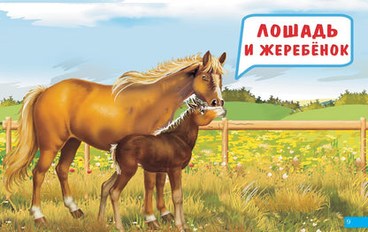 Карточки (европодвес). Мамы и детки ; Карточки (европодвес). Мамы и детки