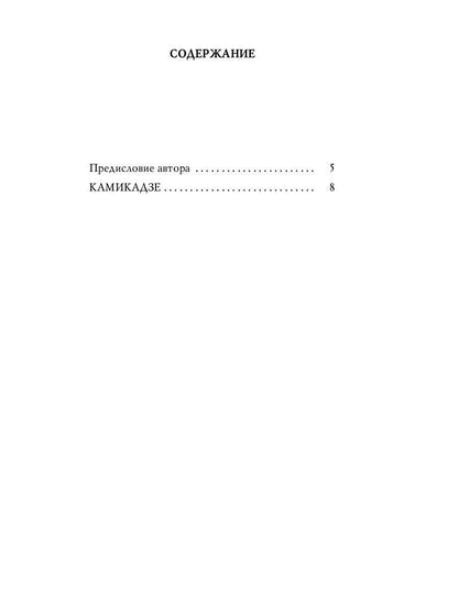 Рип.Стогов Камикадзе