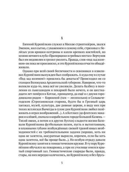 Земля имеет форму чемодана: роман