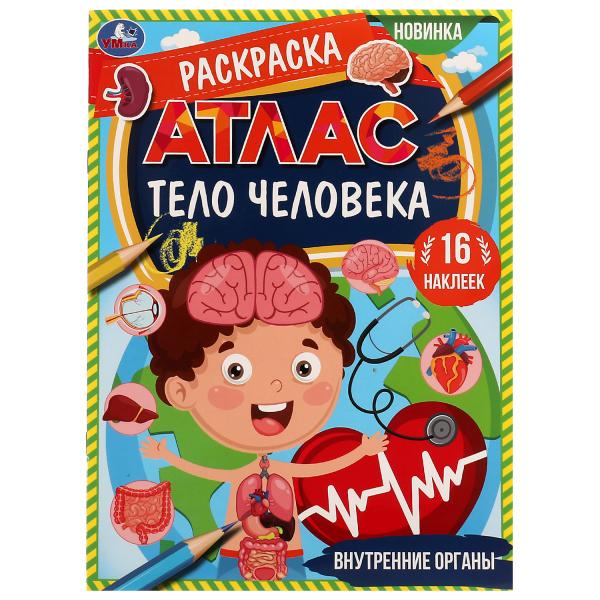 Внутренние органы. Раскраска. Атлас. Тело человека. 16 наклееек. 214х290 мм.16 стр. Умка. в кор.50шт