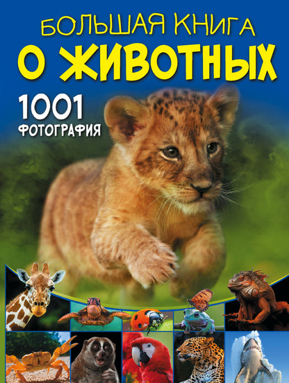 Большая книга о животных. 1001 фотография