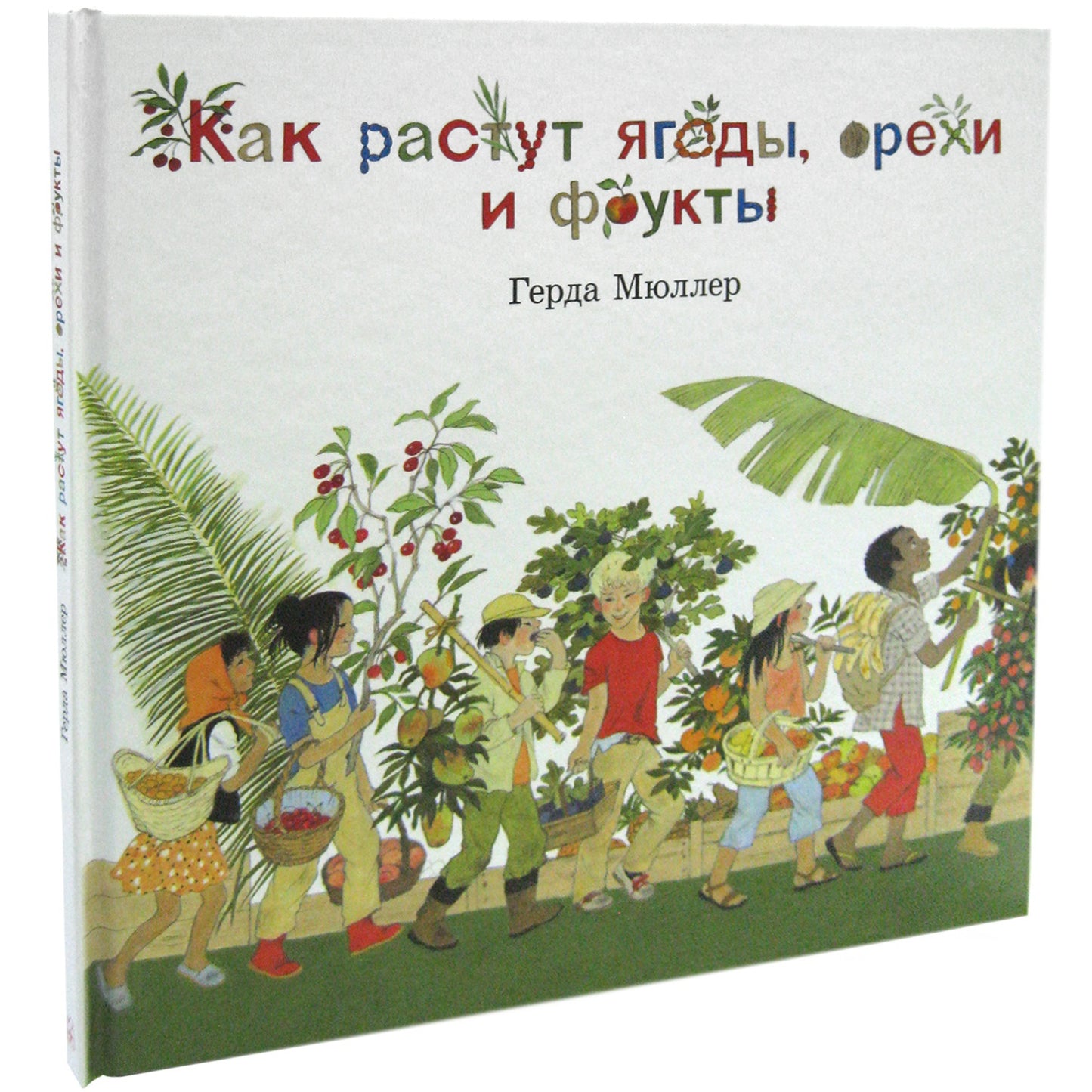 КАК РАСТУТ ЯГОДЫ, ОРЕХИ И ФРУКТЫ? (иллюстрации Герды Мюллер)