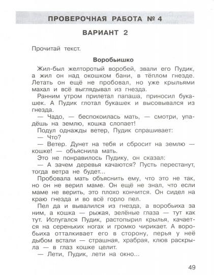 ВПР 2 класс Подготовка к Всероссийской проверочной работе по литературному чтению. 2 класс/ Мишакина (Бином)