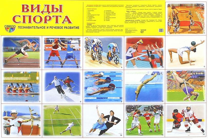 Cartes de démonstration de la SVP Vidéos sportives. 16 cartes de démonstration avec texte sur l'objet (méthode appropriée pour le matériel de démonstration complexe 173x220mm, познавательное и речевое