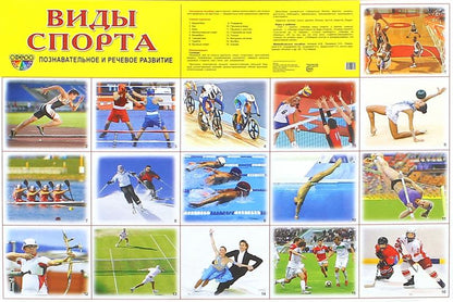 Cartes de démonstration de la SVP Vidéos sportives. 16 cartes de démonstration avec texte sur l'objet (méthode appropriée pour le matériel de démonstration complexe 173x220mm, познавательное и речевое