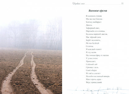Первый снег