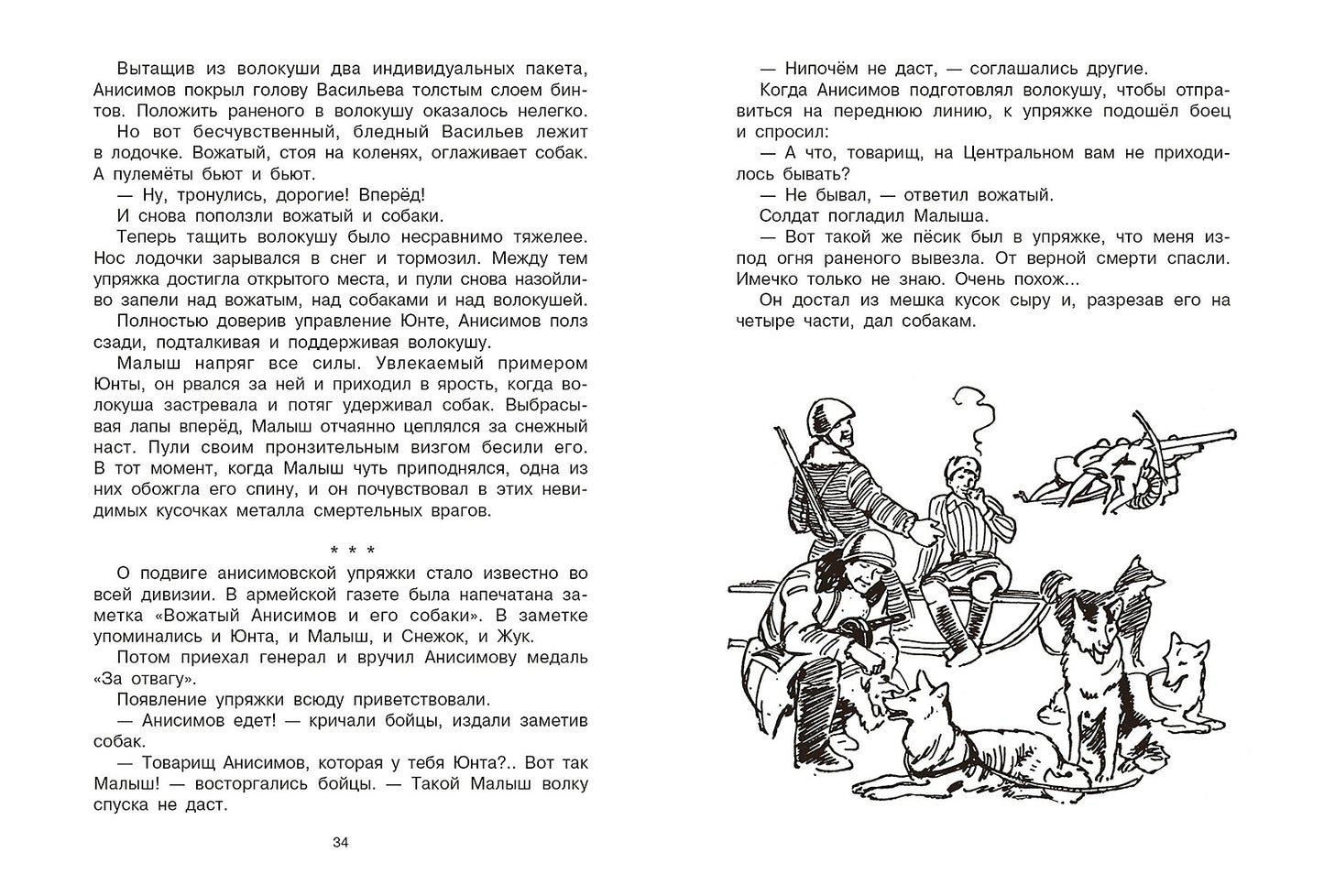 Вожак санитарной упряжки: повесть