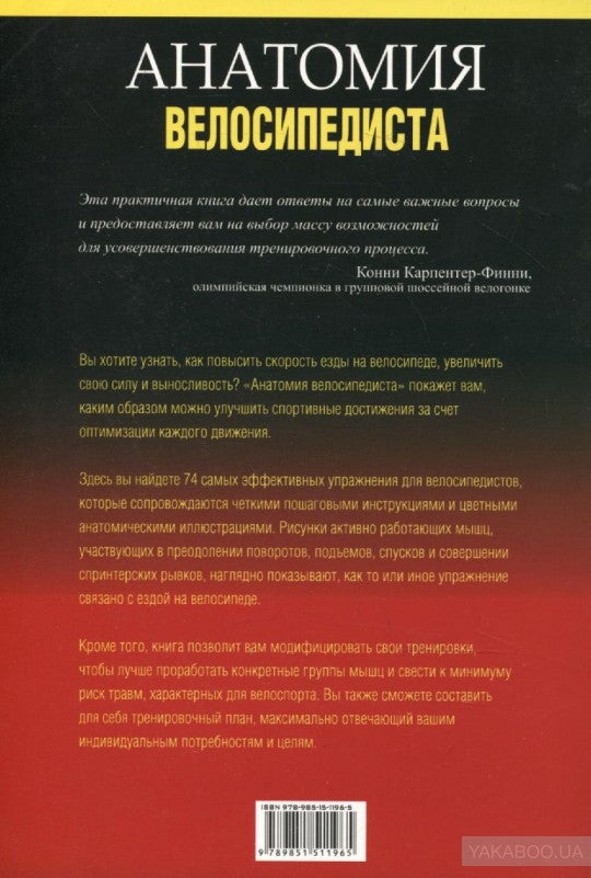 Анатомия велосипедиста