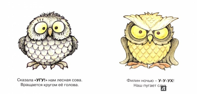 Савушкин. Je suis en train de parler. Птицы лесов и полей. (pour les enfants de 1 à 3 heures).