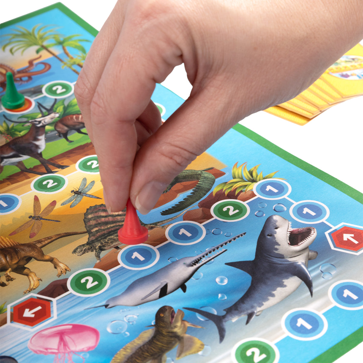 ДК.Игра настольная "Викторина Биология" арт.02831 /7