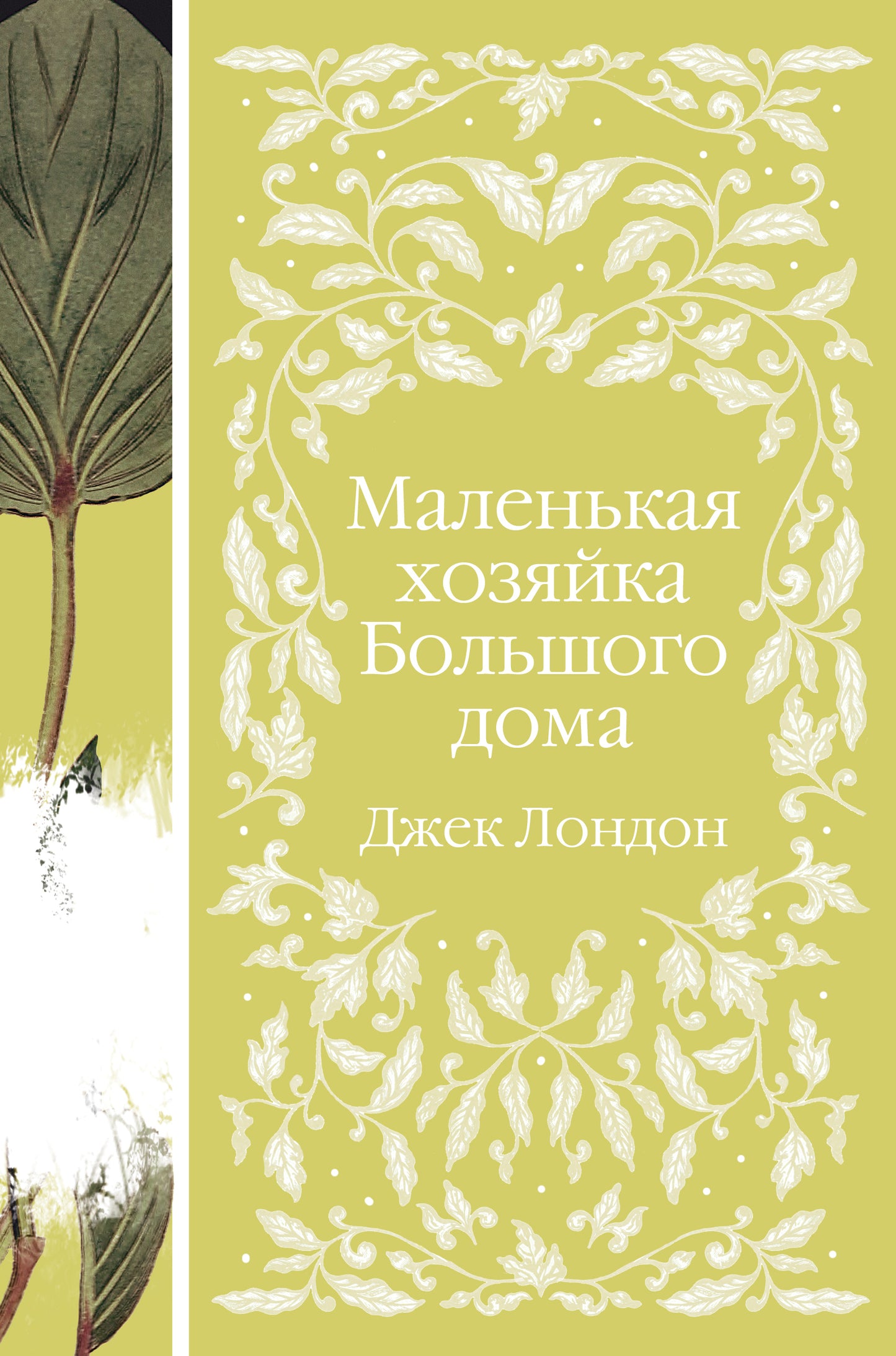 Маленькая хозяйка Большого дома (книга #4)