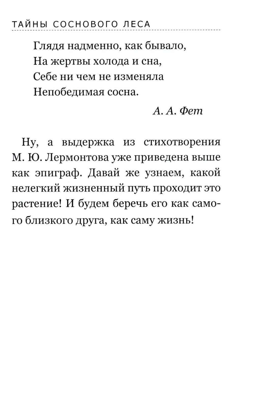 Тайны соснового леса