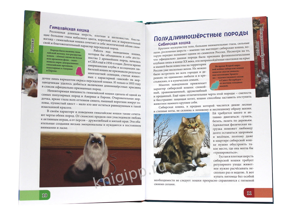ЭНЦИКЛОПЕДИЯ. В МИРЕ ЗНАНИЙ. ВСЁ О КОШКАХ