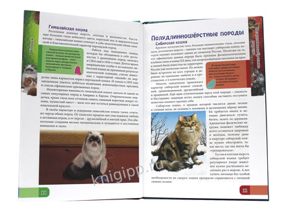 ЭНЦИКЛОПЕДИЯ. В МИРЕ ЗНАНИЙ. ВСЁ О КОШКАХ