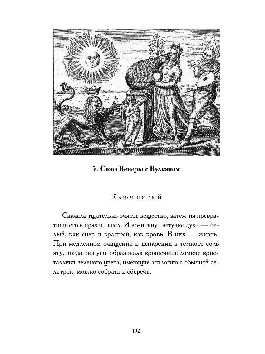 Книга алхимии. История, символы, практика