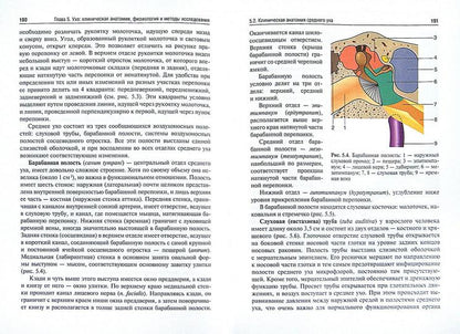 Оториноларингология / В. В. Вишняков. — 2-е изд., перераб. — Москва : ГЭОТАР-Медиа, 2022. — 392 с. : ил.